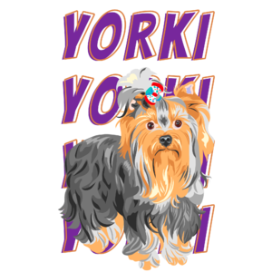 Yorki kutya