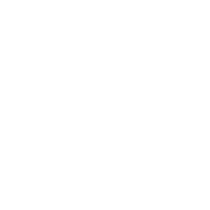 The dogfather francia bulldog